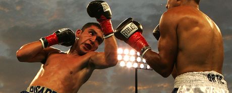 No sea takimata sanctus est 